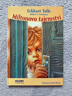 Knihy Drsňačka, Fotbaláci, Malý miliardář - 10