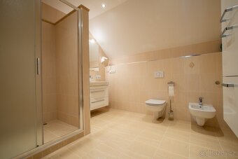 Prodej luxusního bytu 137m2 Divadelní nám. Karlovy Vary - 10