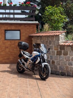 Suzuki SFV 650 Gladius 2009 - 10