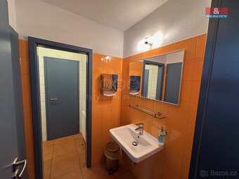 Pronájem kancelářského prostoru, 310 m², Slapy - 10