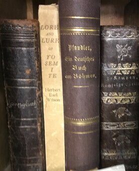 Vice nez 4000 knih - 10