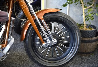 Harley Davidson FXSTSSE2 Softail Springer 110 - 1.majitel - 10