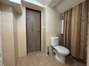 Pronájem bytu 1+1 41m², České Budějovice - 10
