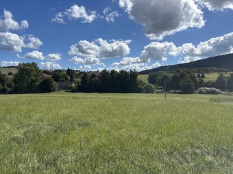 Prodej, pozemek 214865 m², Ježovy - 10