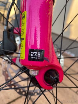 KOLO MERIDA - Juliet 7.40 (S) - 10