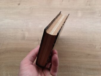 4 knihy v 1zv. Prúvodce po Krkonoších 1878, Rožňov 1878, Víd - 10