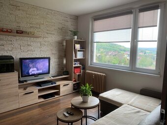 Prodej bytu 2+1 v Třemošnicích - 10