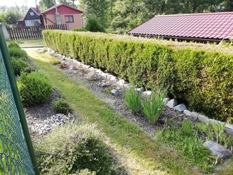 Zrekonstruovaná chata se zahradou – Štěnovický Borek - 10