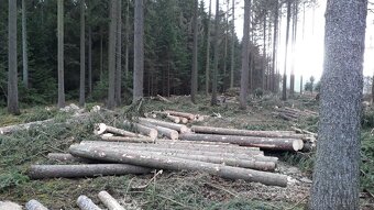 Valtra C100 + hydraulická ruka, kácecí hlavice, vyvážečkou - 10