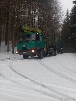 Lesovuz tatra815 - 10