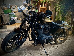Harley Davidson XL 1200 CX - 10