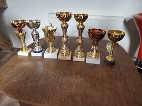 sportovní poháry - 10