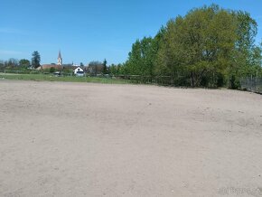 Ustájení koní , jízdárna, pastva , Kolín - 10