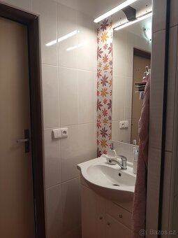 Pronájem bytu - 10