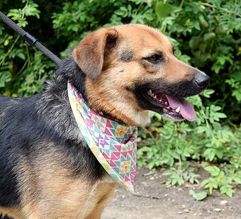 CARMELA K ADOPCI - 3 ROKY,ODDANÁ,HODNÁ,MAZLIVÁ - 10