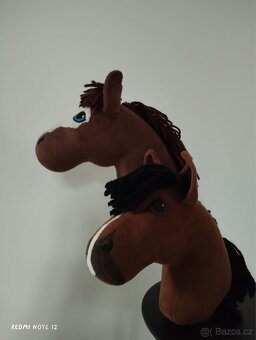 hobby horse - 10
