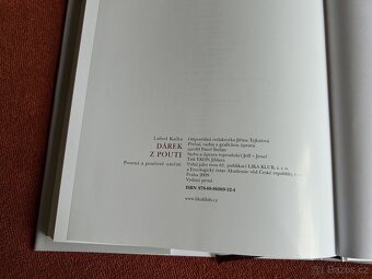 Dárek z pouti - Luboš Kafka - 10
