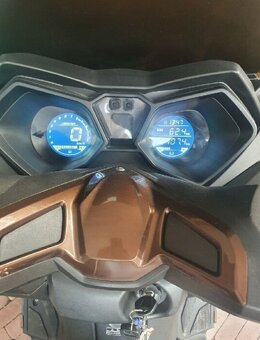 Kentoya Maximus - i 125/4t - 10
