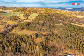 Prodej lesa, 13448 m², Malenice - 10