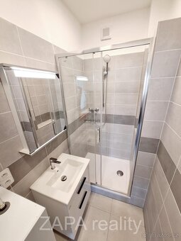 pronájem bytu 2+kk 48m2 po rekonstrukci 4. patro cihla výtah - 10