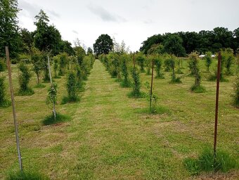 Rozlehlý ucelený pozemek, u vody, přes 1, 8 ha - 10
