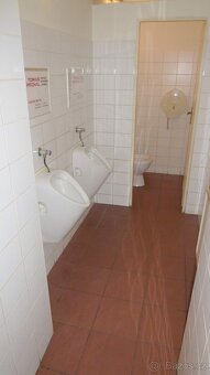 Pronájem restaurace České Budějovice, Na Mlýnské stoce - 10