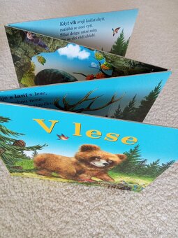 Prodám dětské knížky a leporela - 10