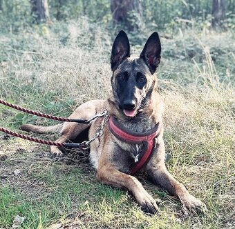 ANGEL K ADOPCI - HLEDÁ SVÉHO ANDĚLA - 10