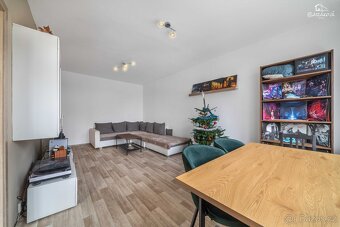 Prodej bytu, 60m2, Tichá ulice, Plzeň , Skvrňany - 10