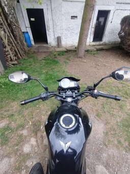 SYM Wolf 125 - 10