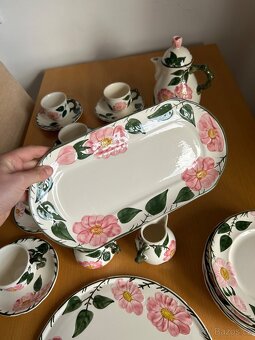 servis Villeroy & Boch Wild Rose - 10