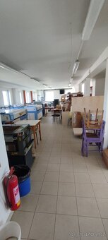Prodej výrobní provozovny - 10