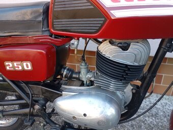 ČZ 250/485 Egypťan - 10