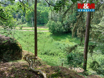 Prodej louky, 1003 m², Vysoká - 10