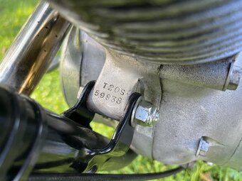 Triumph Tiger Cup T 20 Sport 1960 - 10