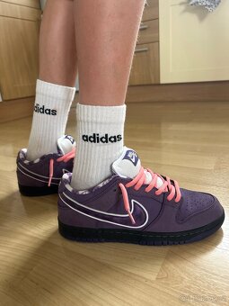 Nike SB Dunk Low Pro ,Purple Lobster - 10
