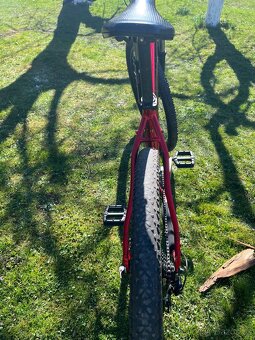PELLS RAZER ‘29’ - 10