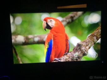 Prodáno - Monitor Dell - 10