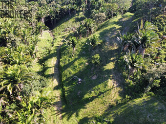 Falcon Valley Lot#12 Santos Guardiola, Roatan - 10