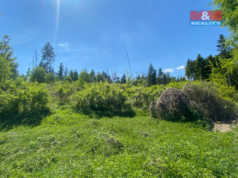 Prodej lesa, 15167 m², Kropáčova Vrutice - 10