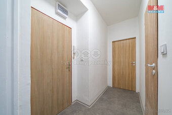 Pronájem bytu 1+1, 38 m², Bukovany - 10