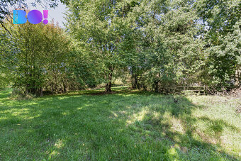 Prodej zemědělského areálu 17 219 m², Sázava - 10