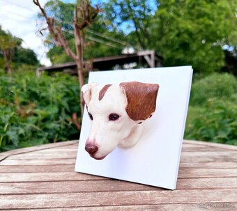 3D fotografie a figurky domácích mazlíčků - 10