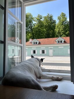 Sleva na 29 mil. Kč Tereziiny Lázničky jižní Čechy - 10