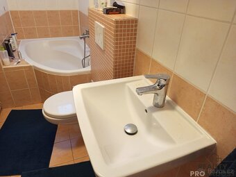 Pronájem bytu Praha Podolí - 10