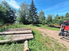 Prodej, rodinný dům, 1.413 m2, Sněžné - 10