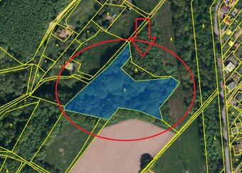 Prodej lesního pozemku v k.ú. Bartovice (2) - 10