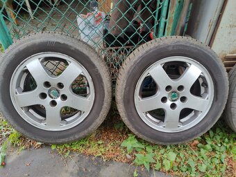 Elektrony,185,60,14,Fabia, letní - 10