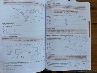 MATEMATIKA, ČESKÝ JAZYK k přijímačkám s nadhledem, v pohodě - 10