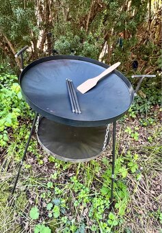 ZAHRADNÍ PÁNEV NA OHNIŠTĚ - 10